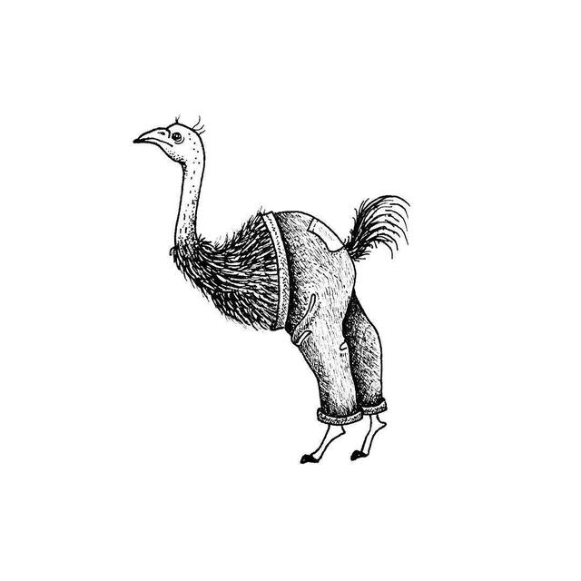 时尚的经典搞笑语录,所有人都知道了 时尚的经典搞笑语录,所有人都知道了