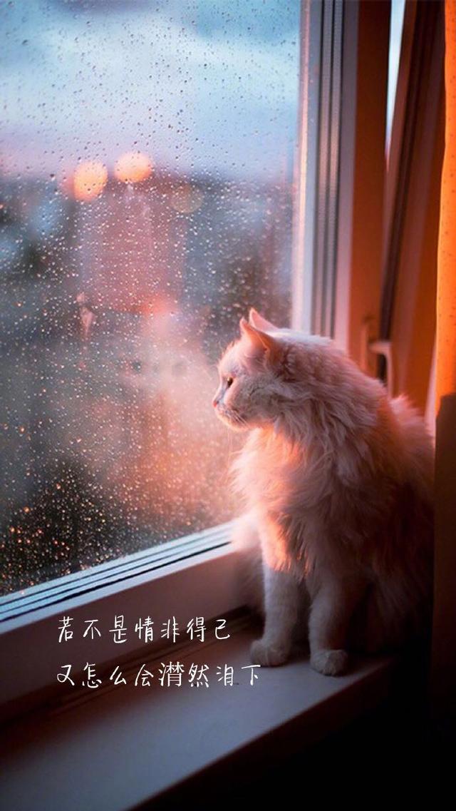 触动心灵的经典语录，简单方便日常可用