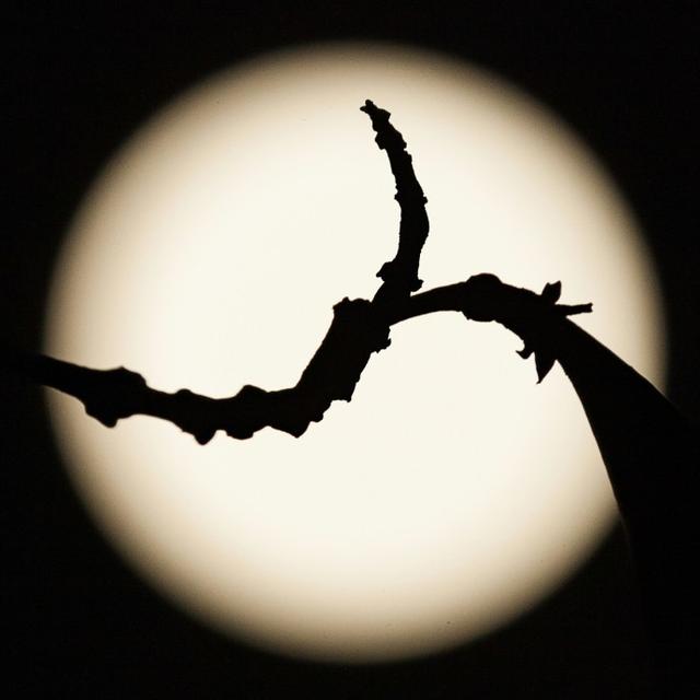 关于脾气脾气这东西