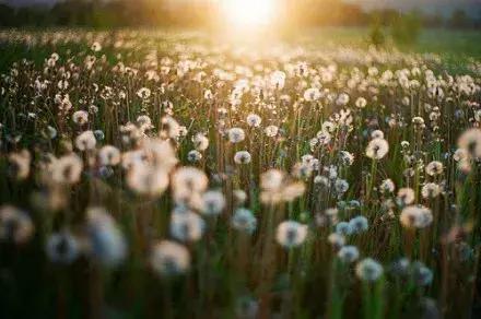 距离只是一个用来验证爱能走多远的测试