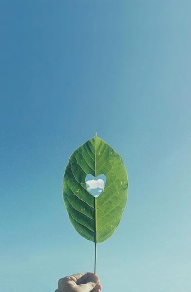人生感悟：岁月无波澜，余生不悲欢