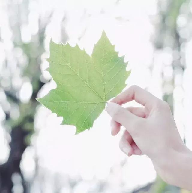 想明白了，你就再也不会生气了（好文）