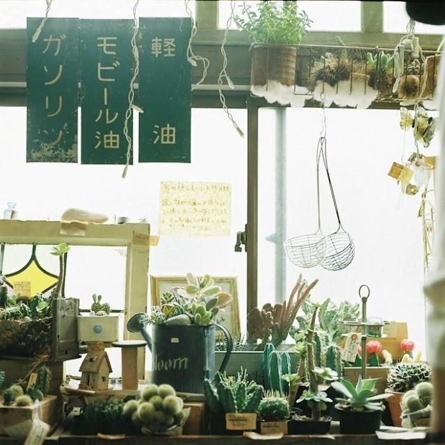 年度最经典的台词语录