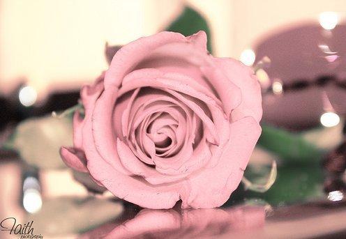 一句话最经典的人生哲理语录