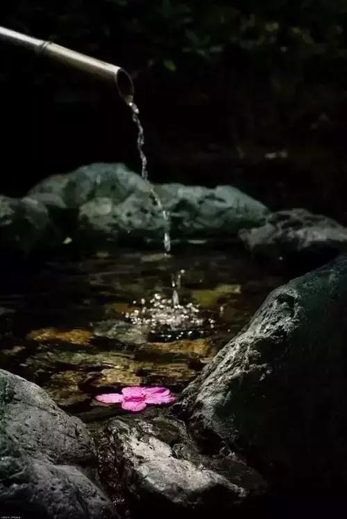 最美的心境：静心和沉稳