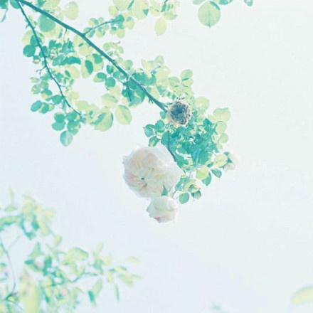 结婚从来都不是一种保障，而是一种信赖