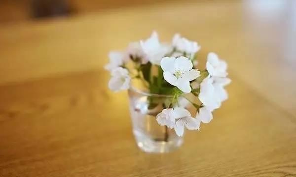 如果生命只剩下一天 如果生命只剩下一天