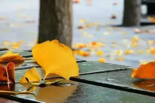 生命，是一场懂得