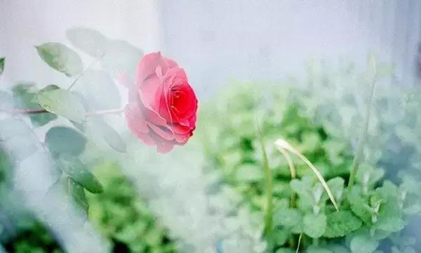 借钱可以，别伤感情