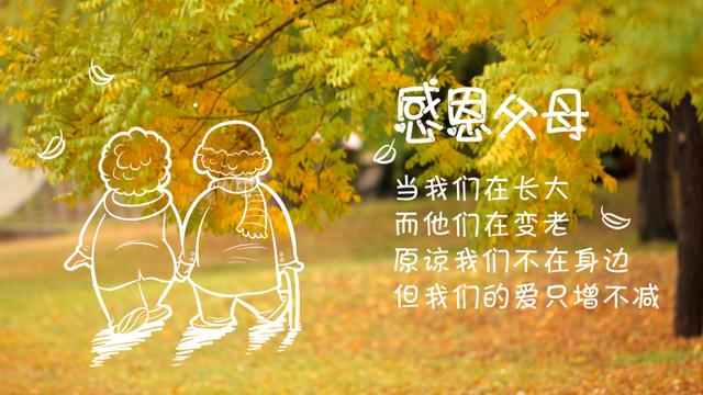 人生感悟，智慧就在身边