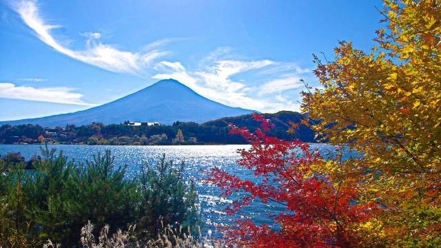 让人心静的佛语禅心,人生因静而优雅 让人心静的佛语禅心,人生因静而优雅