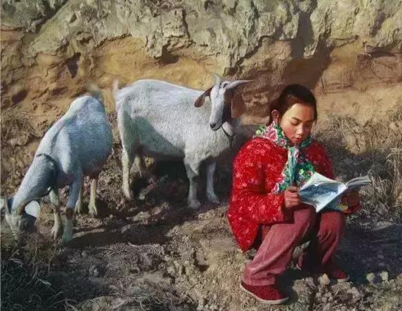 致:无奈的70后,辛苦的70后! 致:无奈的70后,辛苦的70后!