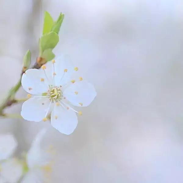 有爱无爱，安然对待。谁好谁坏，心里明白