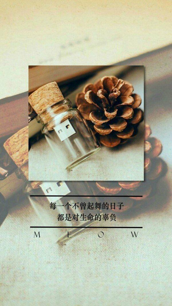 心情语录：愿岁月无可回顾，愿人生无可辜负