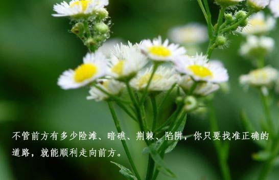 只要努力抬起你的双脚，胜利将属于你