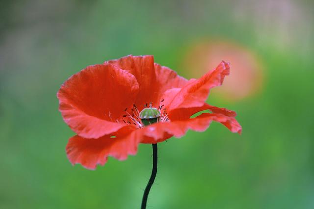 不想跌倒的最好办法