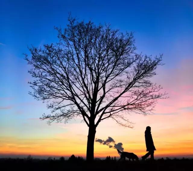 有生之年，好好活吧！(句句扣心)