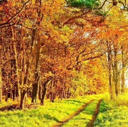 信任就像一张纸，皱了，即使抚平，也恢复不了原样了