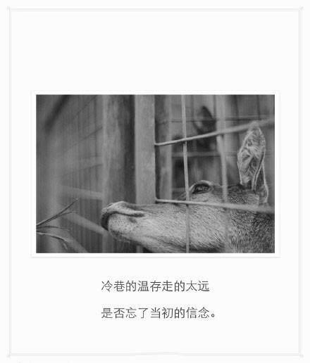 是谁在用你的名字写诗（太美好）