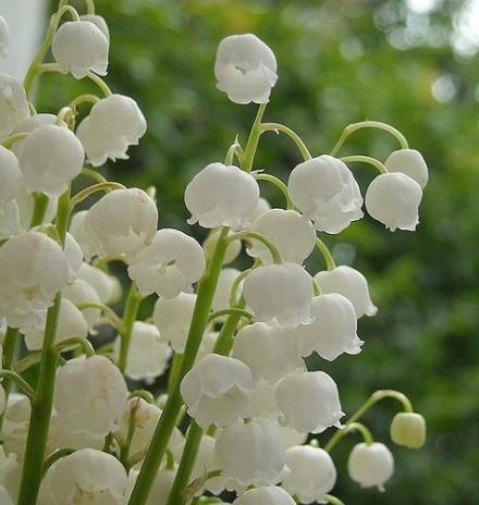 九句精选微信朋友圈语录