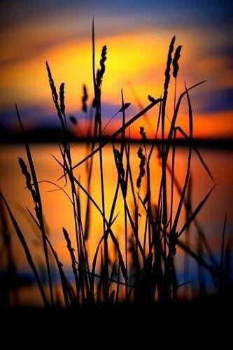 冯骥才：择一城终老，遇一人白首