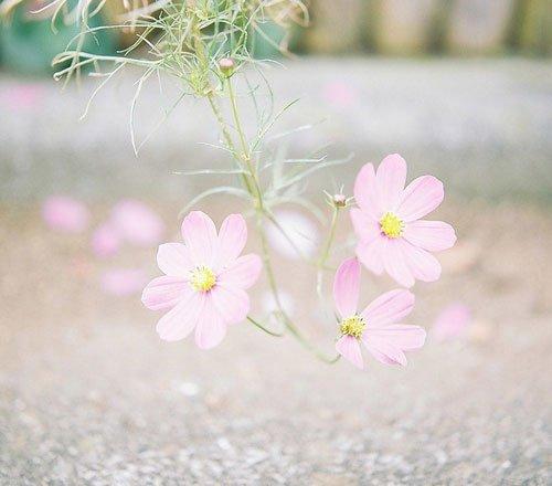 九句精选微信朋友圈语录