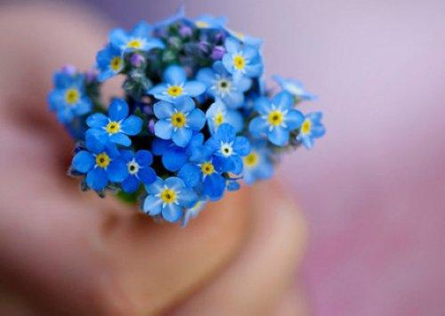 活在当下，且行且珍惜，美好的，留在心底；遗憾的，随风散去