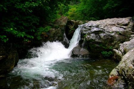 泰戈尔的名句，美的让人心醉（建议收藏）