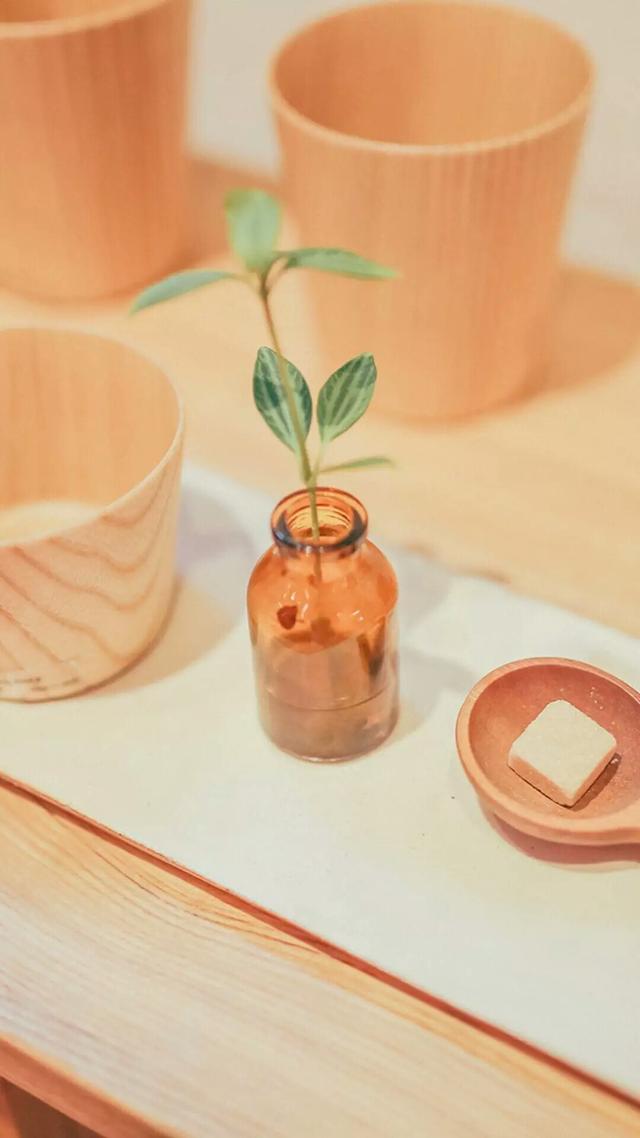 人生感悟：岁月安好，静默如初