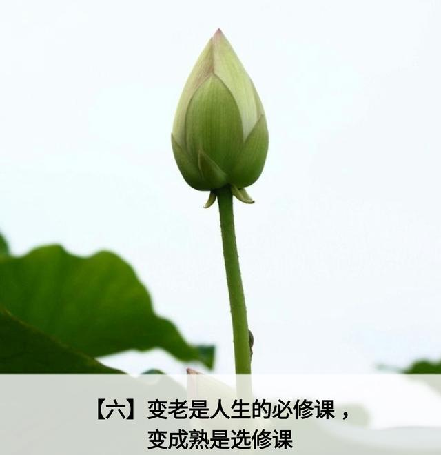 人生应该谨记的金言