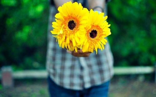 治愈人心的心灵鸡汤语录