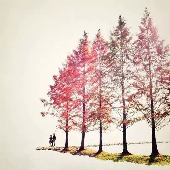 冬去春来，且行且珍惜