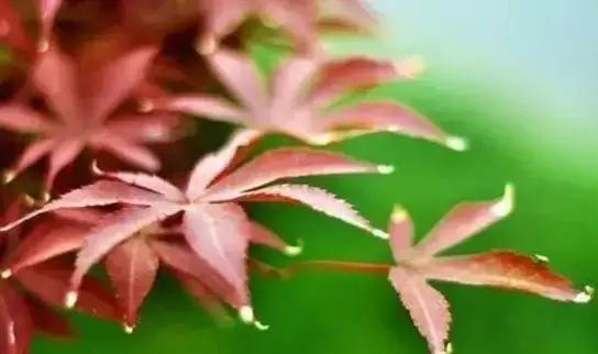 人生毒言……值得收藏