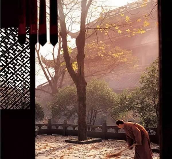 我在这人世流浪，梦一场痴心妄想