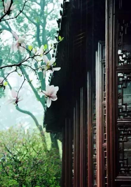 优等的心，自带光源更美丽