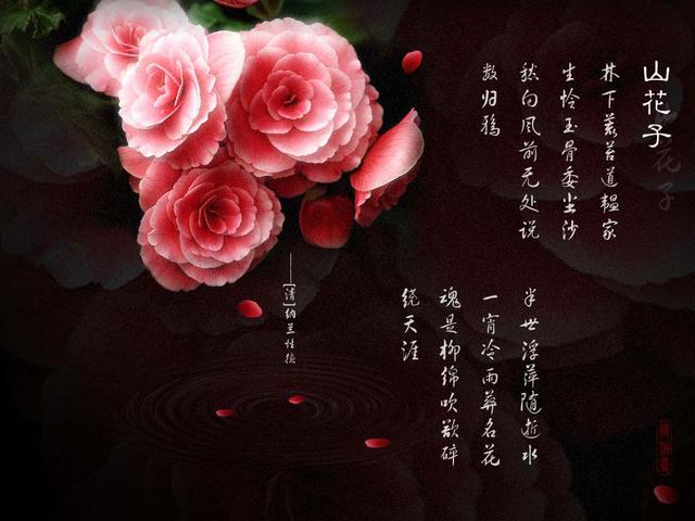 等你老了，我依旧陪着你，这一世我不会放手……