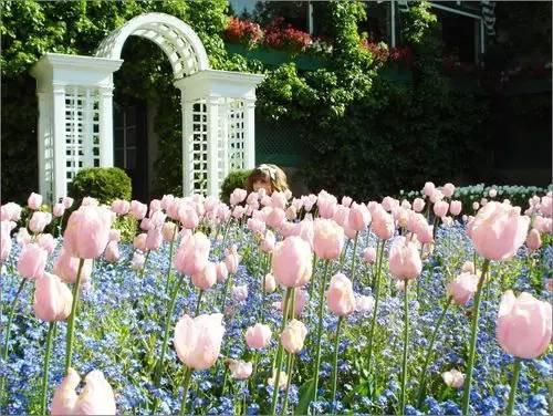 心情语录：为了等你，我错过了等我的人