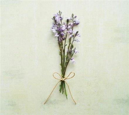 结婚从来都不是一种保障，而是一种信赖