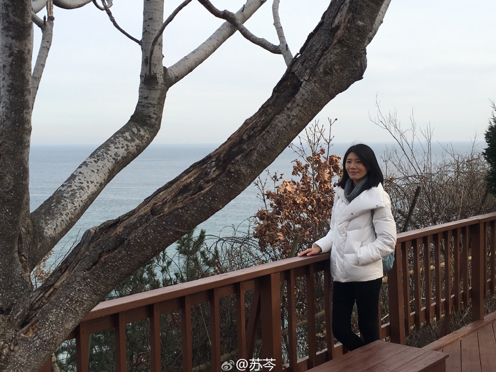 苏岑最新经典语录