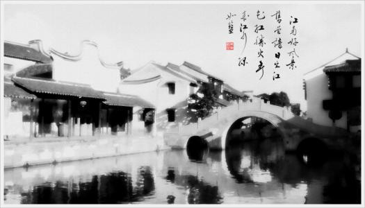 余光中我心里有猛虎在细嗅蔷薇