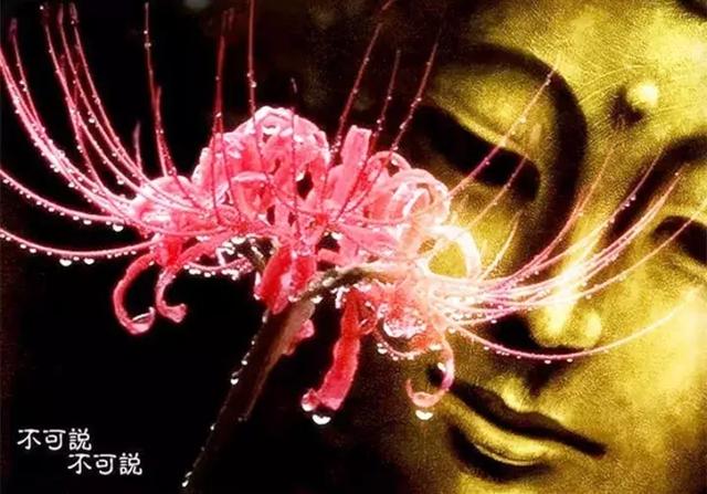 人善，心好，天必佑之