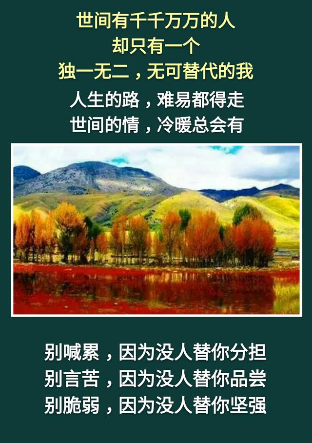 人活着：不累，是木头；不痛，是砖头；不苦，是石头