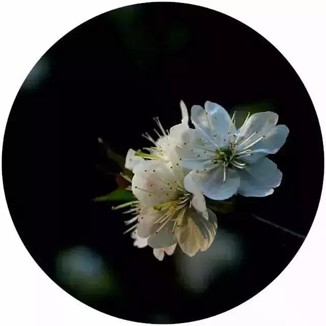 放下昨天,珍惜明天 放下昨天,珍惜明天