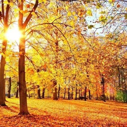 信任就像一张纸，皱了，即使抚平，也恢复不了原样了