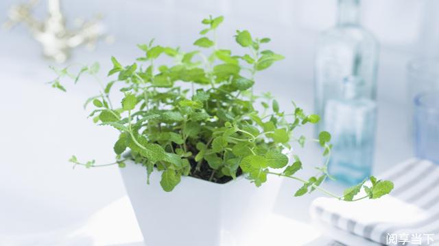 句子很短，句句入心，幽默犀利，拿去做签名吧