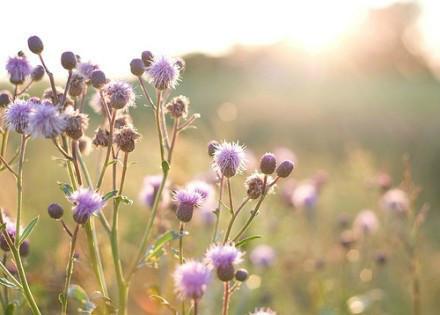 九句精选微信朋友圈语录