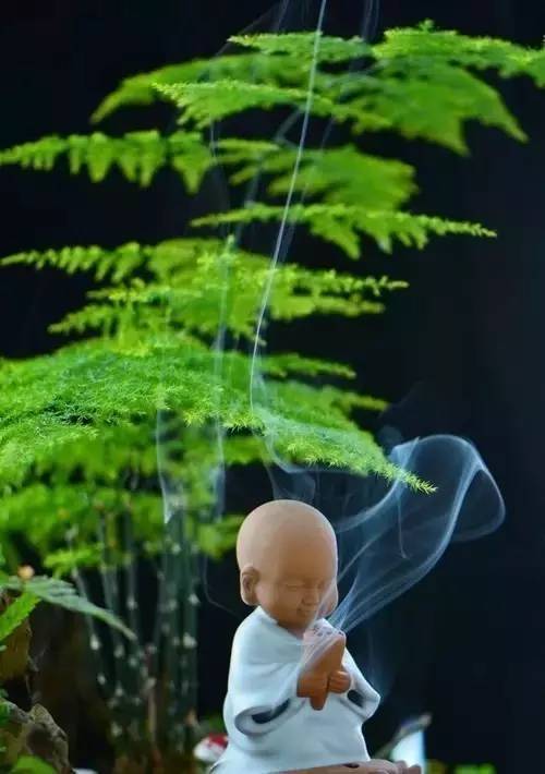 忍能养福，慈能养心，宽能聚气