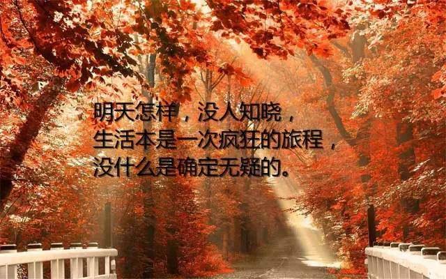 最精辟的人生感悟语录，一句顶一万句