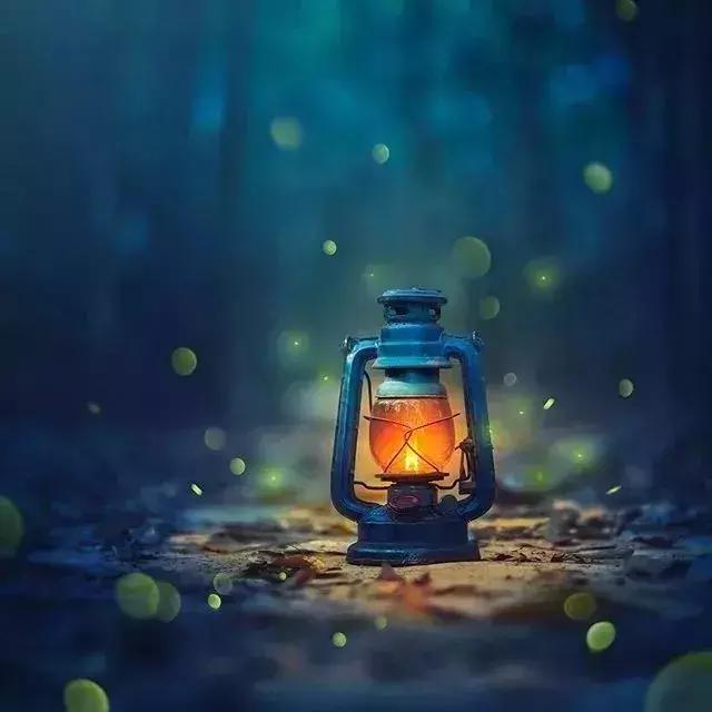 懂得低头，不是认输