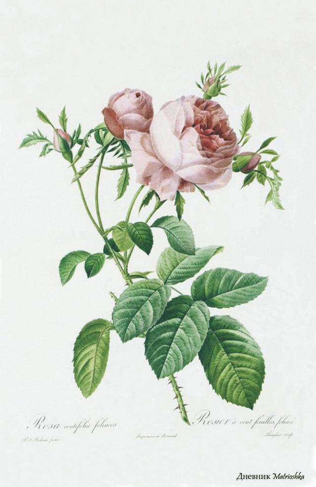 20条非常精辟的一句话经典语录,句句大实话 20条非常精辟的一句话经典语录,句句大实话